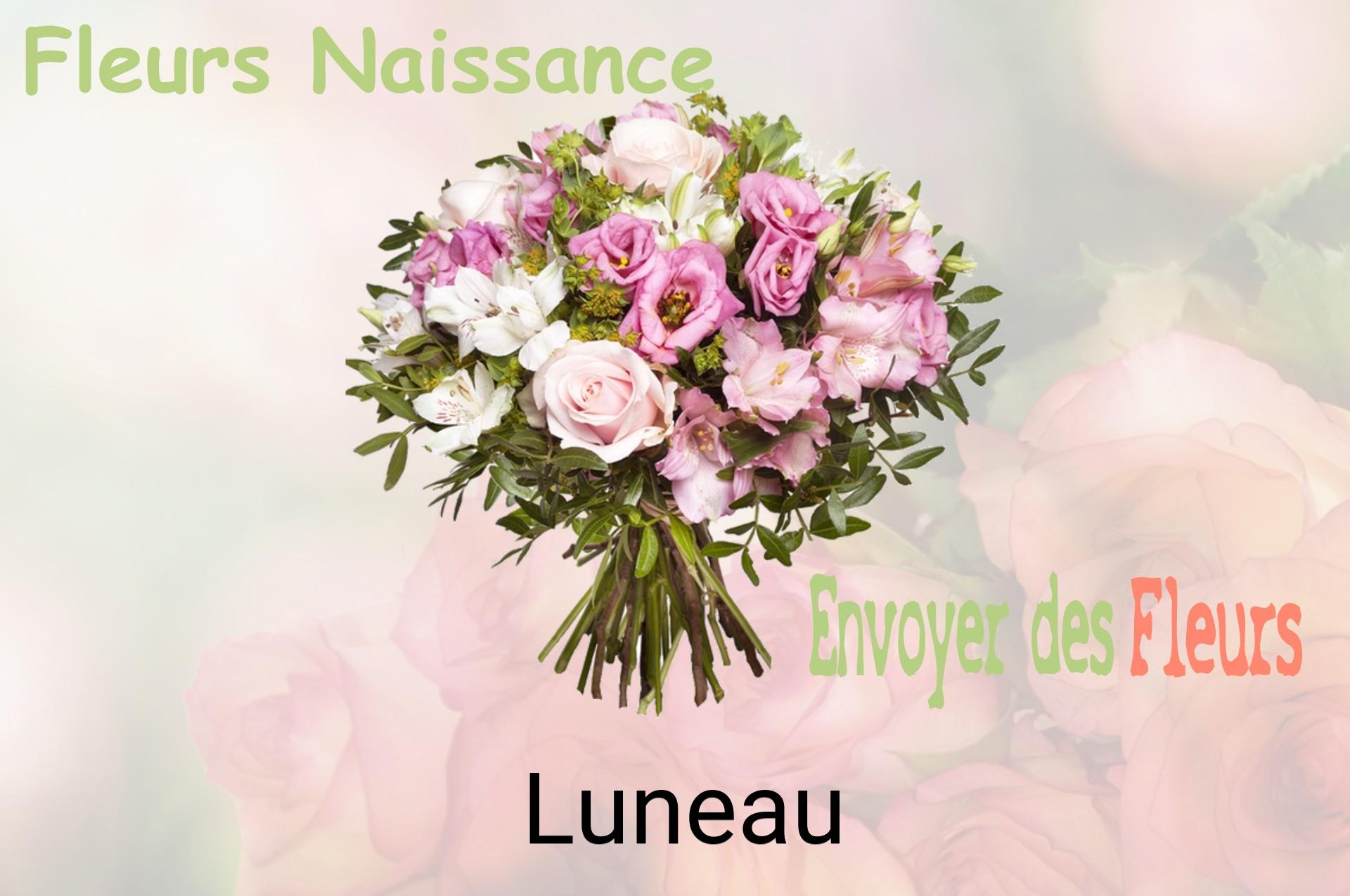 Bouquet de fleurs de naissance livré à Luneau