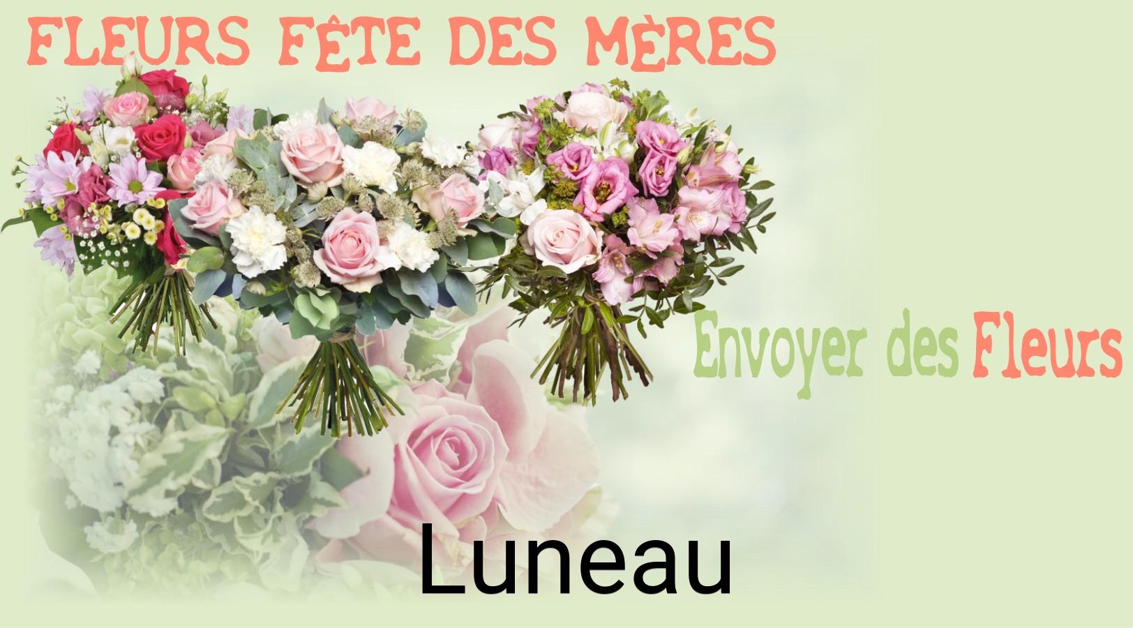 Bouquet de Fête des Mères livré à Luneau